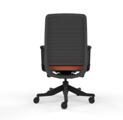 anker_guest-no_lumbar-back anker_guest-no_lumbar-back