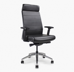 apex-executive-10 apex-executive-10