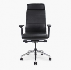 apex-executive-9 apex-executive-9