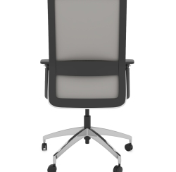 freeride-exec-back freeride-exec-back