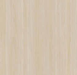 Field Elm Field Elm